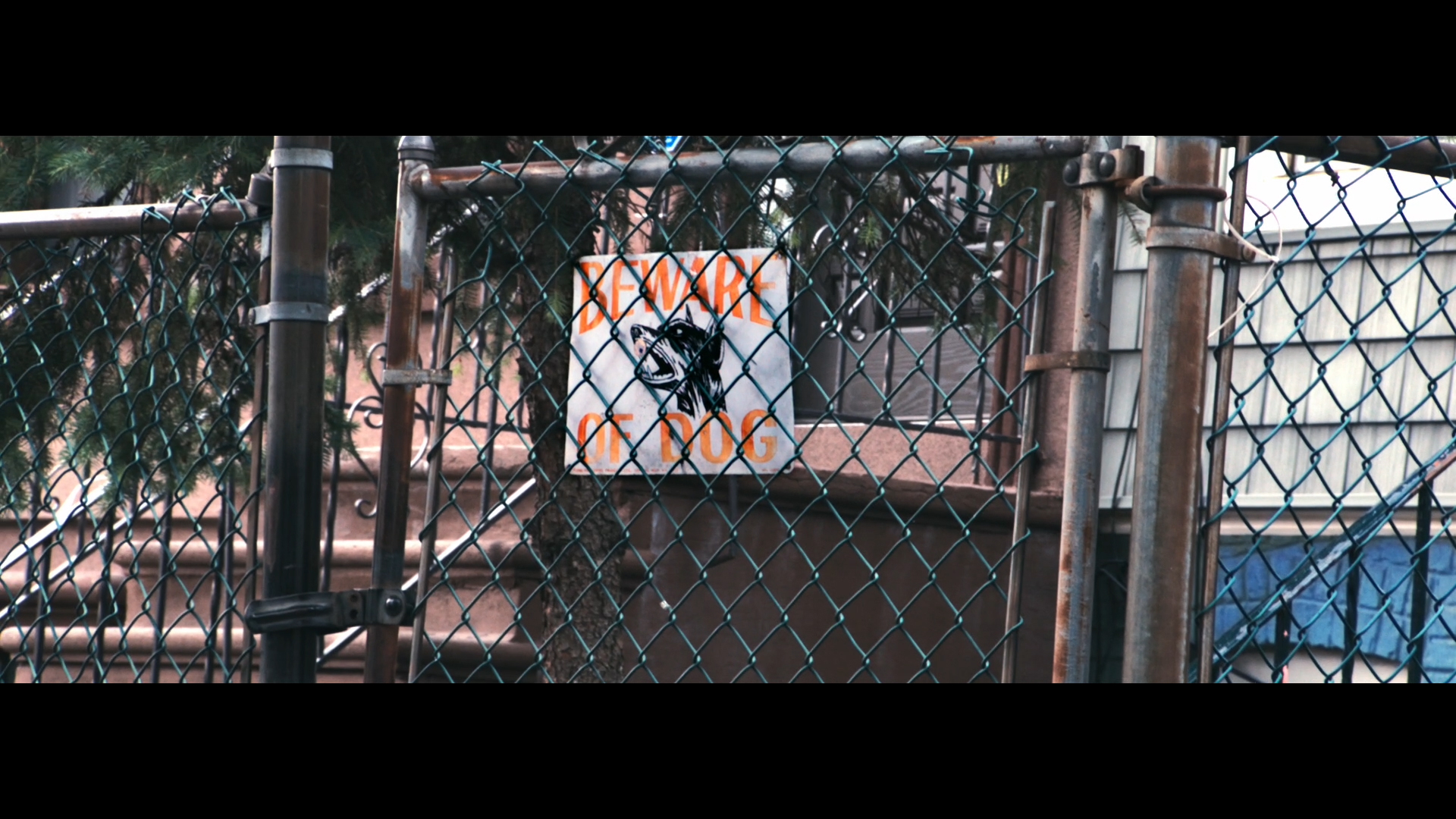 Pro Era